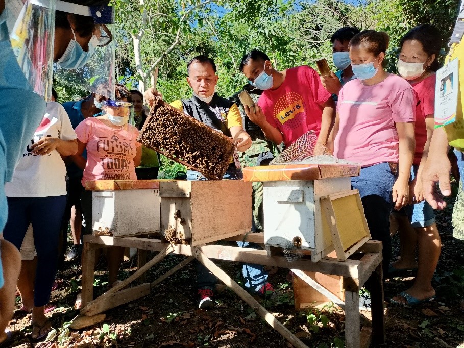 DOST supports beekeepers and honey hunters in Ilocos Sur under the CEST program image