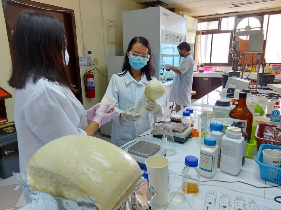 DOST, MSU-IIT use green technology to produce insulation, packing foam materials from waste image