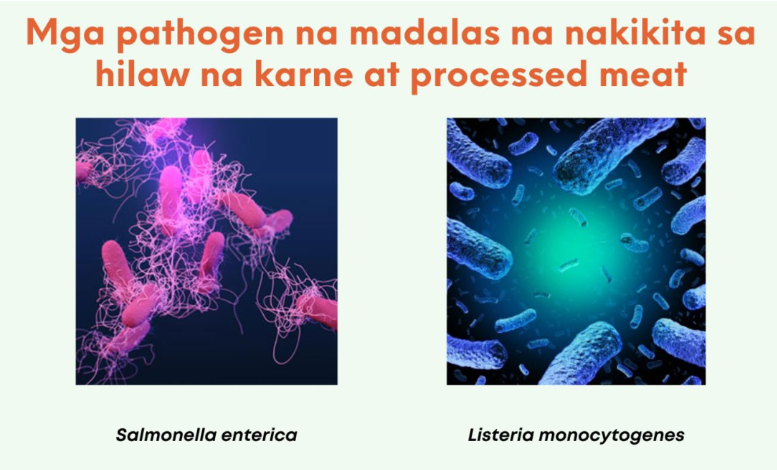 DOST-PCHRD funds UST study on bacteriophages for food safety image